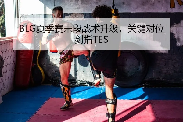 BLG夏季赛末段战术升级，关键对位剑指TES